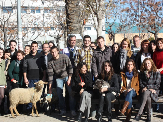 No más facultades de Veterinaria (de momento)