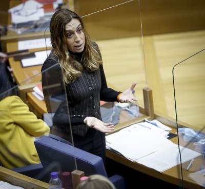 El CVCV señala que el éxito de la Ley de Bienestar dependerá del compromiso de las autoridades y de los titulares de los animales
