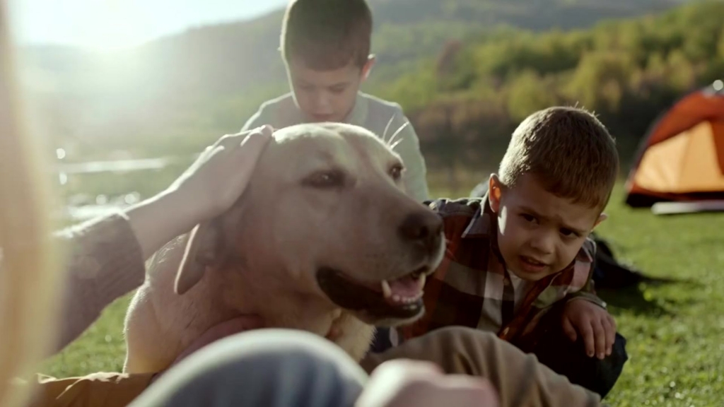 Icoval celebra el Día Mundial de la Veterinaria destacando el rol de los veterinarios en la salud global
