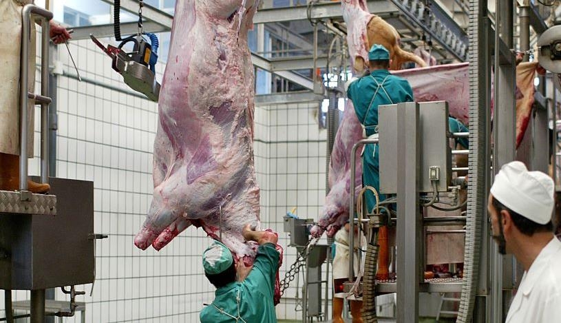 Los veterinarios de Salud Pública cobrarán horas extra y mejorarán sus retribuciones