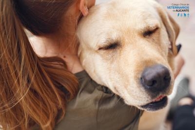 El MAPA alerta de la entrada ilegal de perros ucranianos a través de protectoras