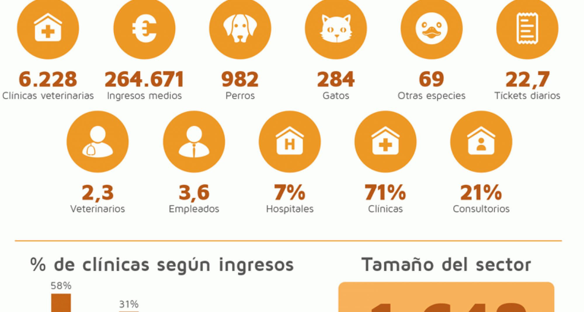 Valencia y Alicante, las provincias que más han aumentado desde 2010 el número de centros veterinarios